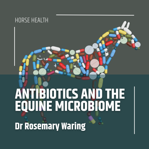 Antibiotics and the Equine Microbiome