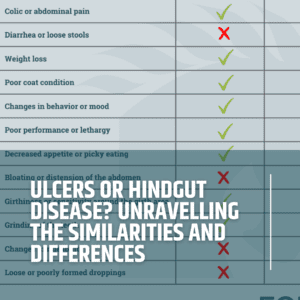 Ulcers or Hindgut Disease? Unravelling the Similarities and Differences