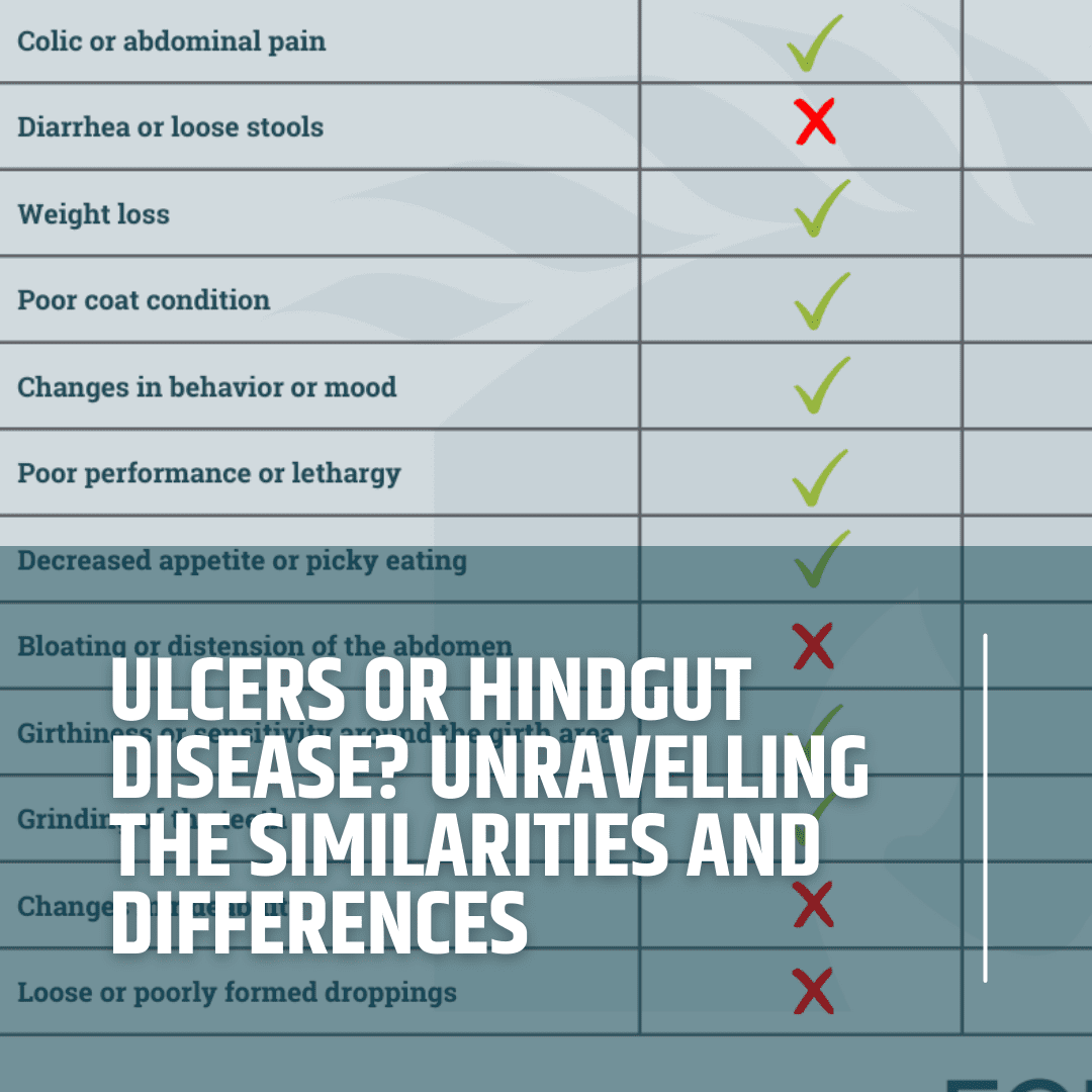Ulcers or Hindgut Disease Unravelling the Similarities and Differences