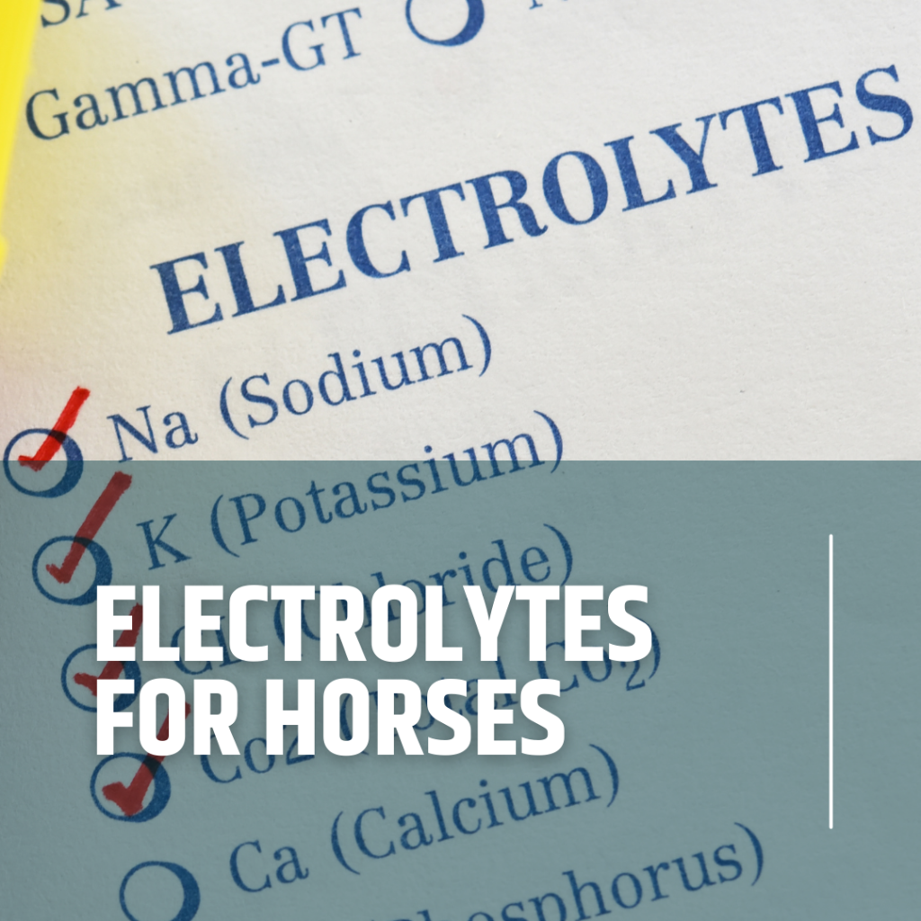 Deep dive into electrolytes for horses