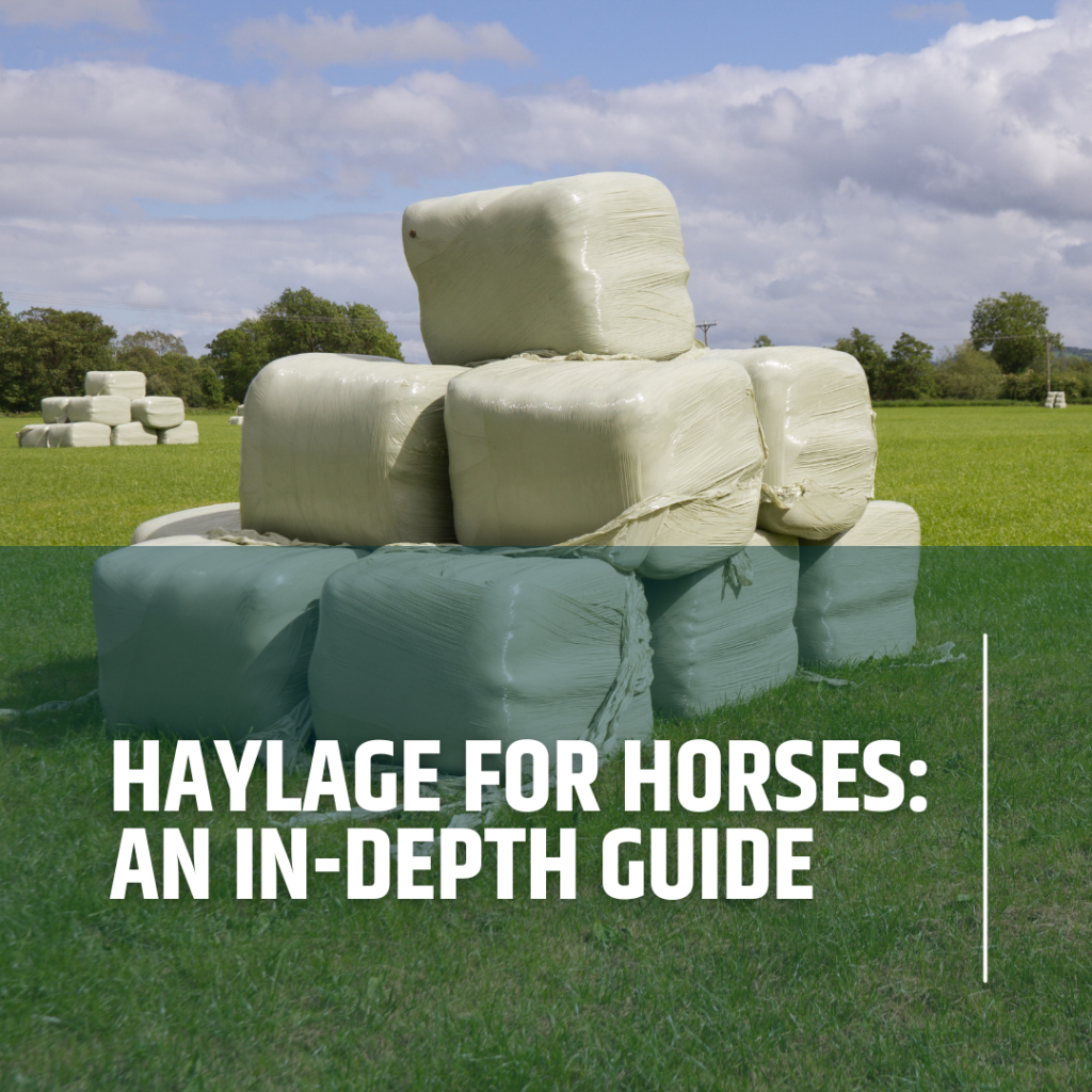 Pros and cons of feeding haylage