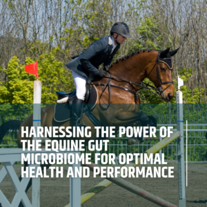 Harnessing the power of the equine gut microbiome for optimal health and performance