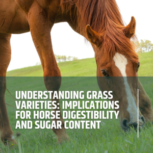 Understanding grass varieties: implications for horse digestibility and sugar content
