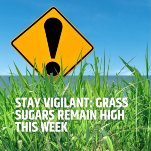 Stay Vigilant: Grass Sugars Remain High This Week