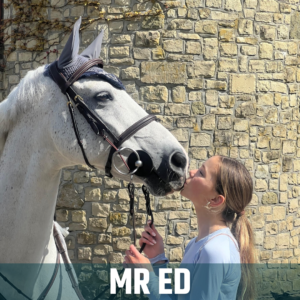 Horse of the Week – MR ED