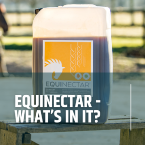 EquiNectar – What’s in It?