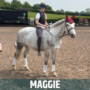 Horse of the Week – MAGGIE