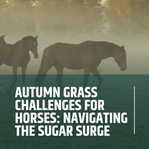 Autumn Grass Challenges for Horses: Navigating the Sugar Surge