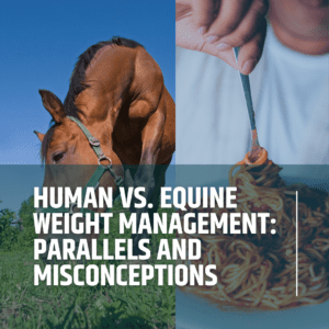 Human vs. Equine Weight Management: Parallels and Misconceptions