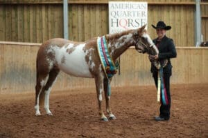 Horses of the Week- Emma Chapman’s Equestrian Journey