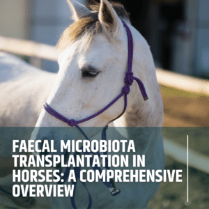 Faecal Microbiota Transplantation in Horses: A Comprehensive Overview