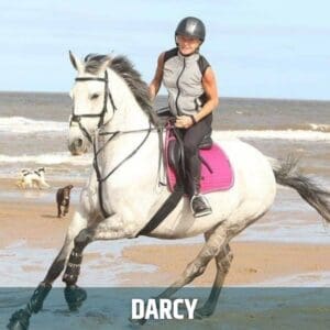 Horse of the week – Darcy