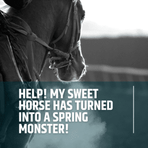 Help! My Sweet Horse Has Turned into a Spring Monster!