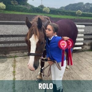 Horse of the week – Rolo