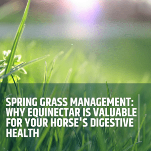 Spring Grass Management: Why EquiNectar is Valuable for Your Horse’s Digestive Health