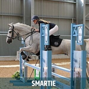 Horse of the week – Smartie