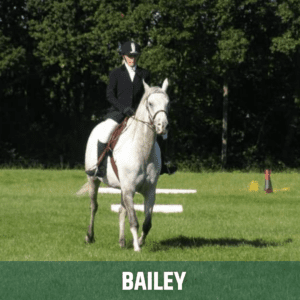 Horse of the week – BAILEY