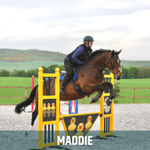 Horse of the week – MADDIE