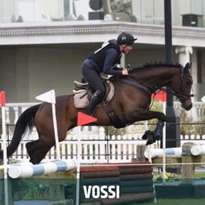 Horse of the week – VOSSI