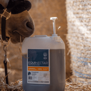 EquiNectar: The Science-Backed Solution for Equine Digestive Health