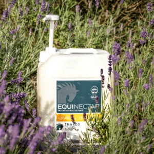 Managing Summer Grass Sugar Levels and Their Impact on Equine Health