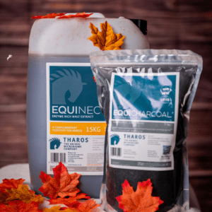 Autumn Grass Challenges for Horses: Managing the Sugar Surge with Digestive Support