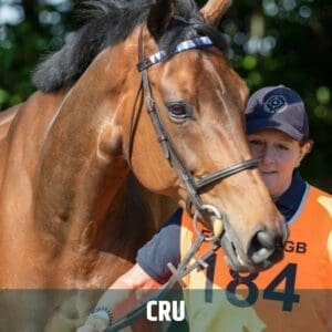 Cru Bourgeois: From Horse of the Week to National Champion