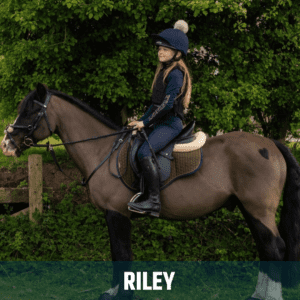 Horse of the week – Riley