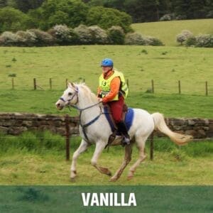 Horse of the week – Vanilla