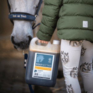 Why February is ideal to add EquiNectar to your horse’s routine