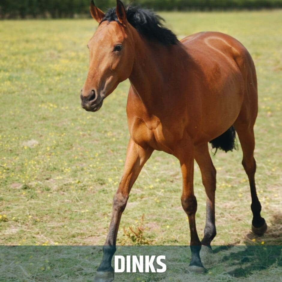DINKS