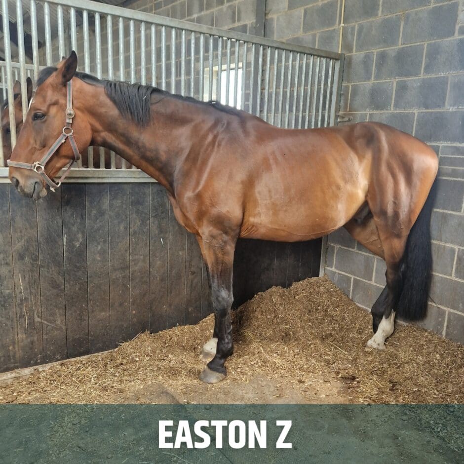 Easton Z 2