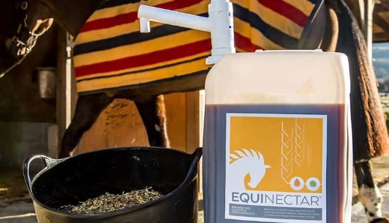 Digestive enzymes for horses to help digest starch optimally