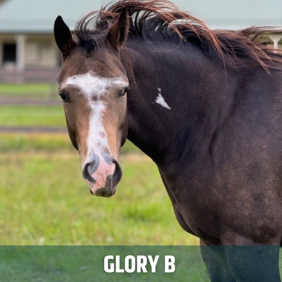 Glory B