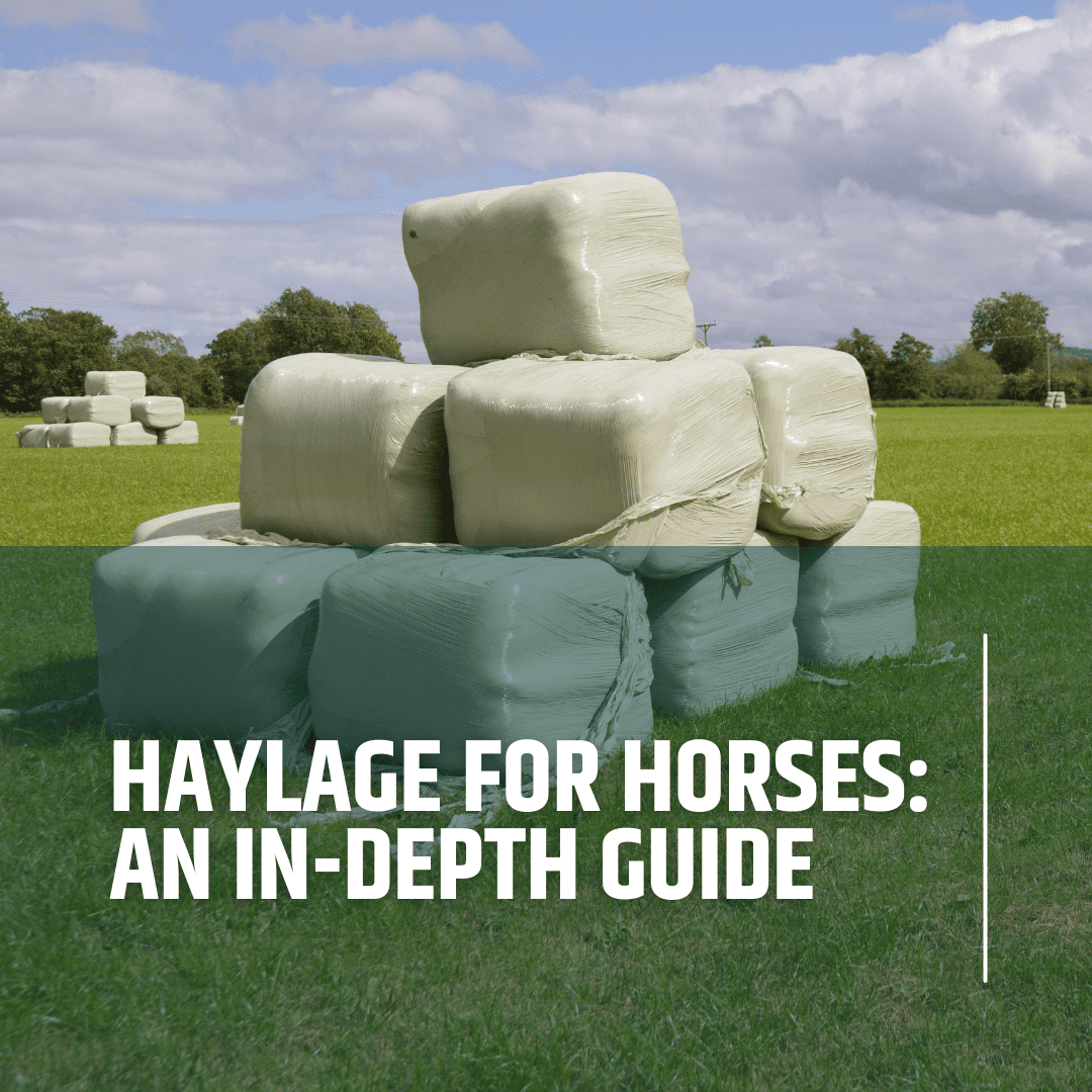 Pros and cons of feeding haylage