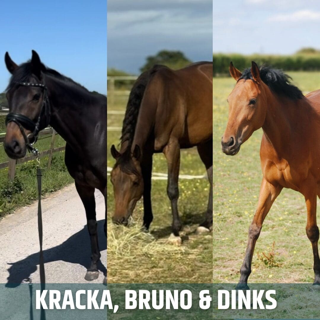 KRACKA, BRUNO & DINKS-2