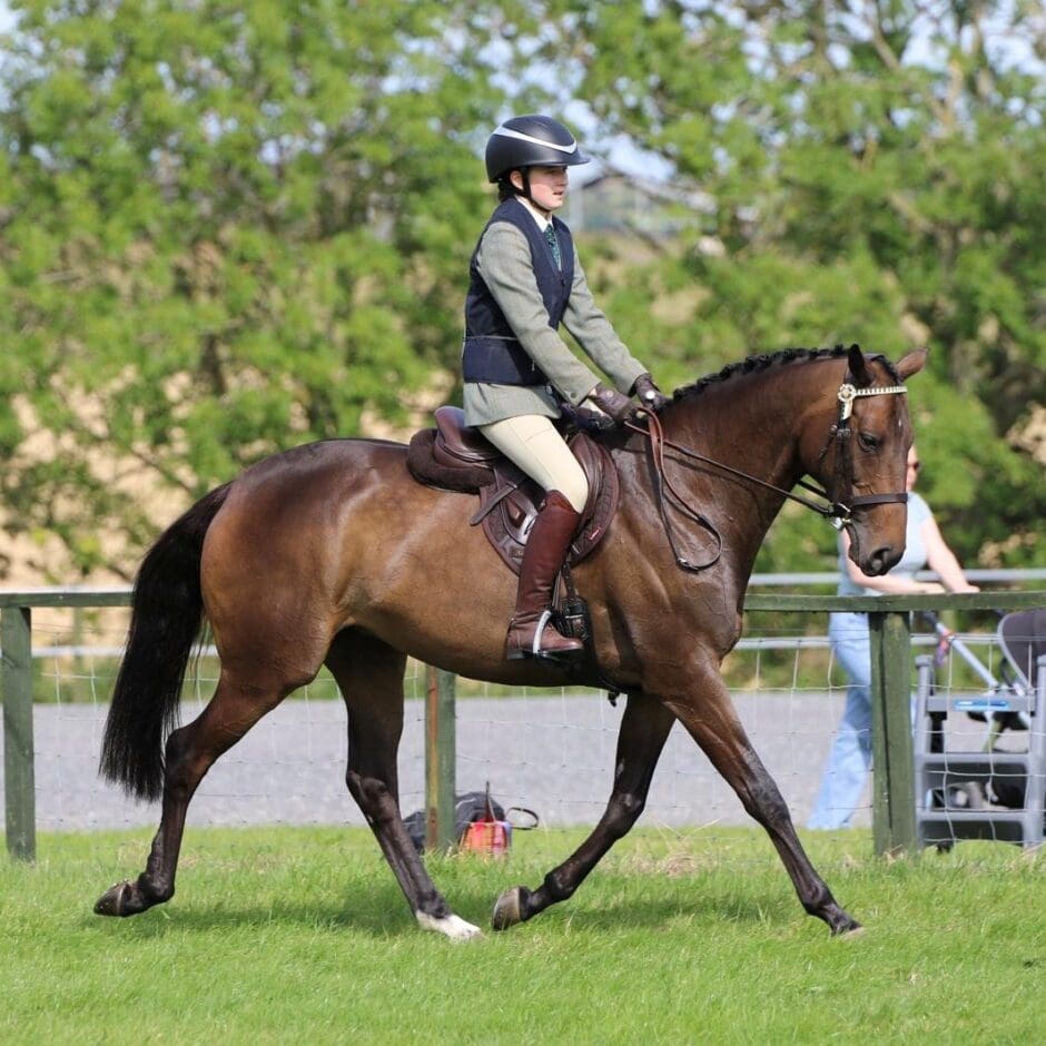 Mabel Show Picture 1
