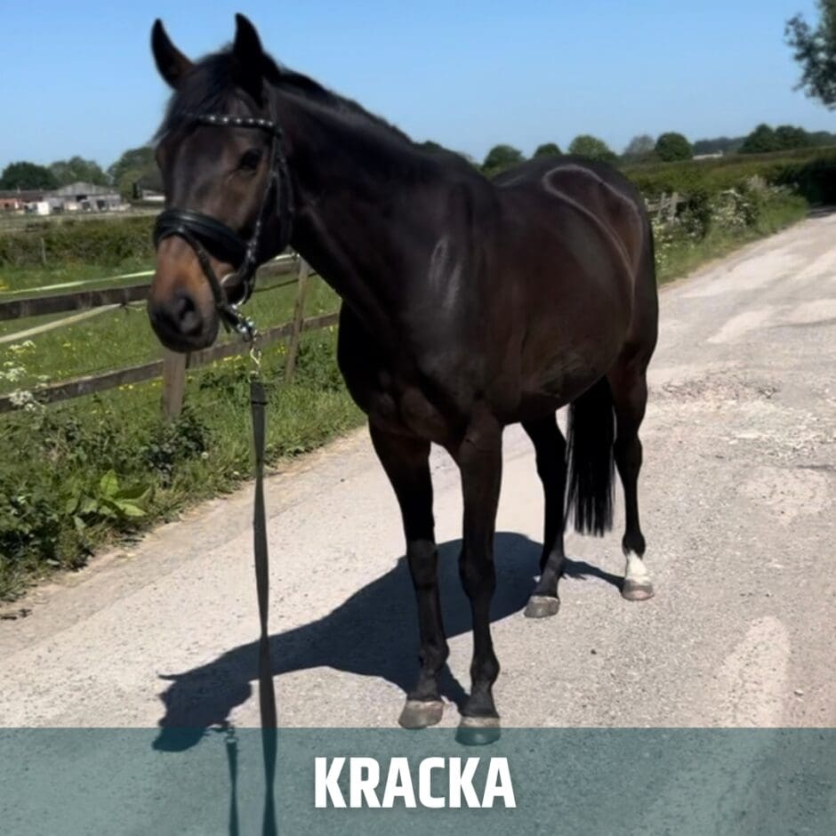 kracka