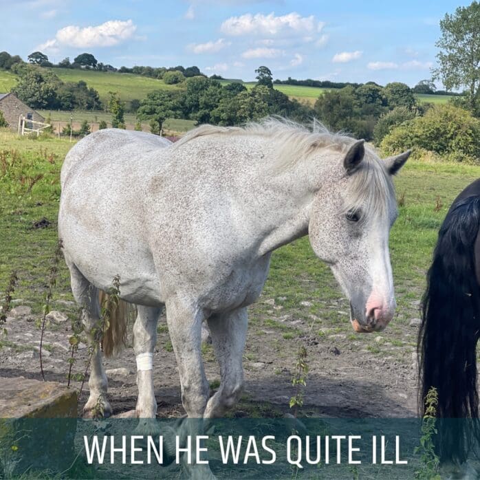 when he was quite ill 2