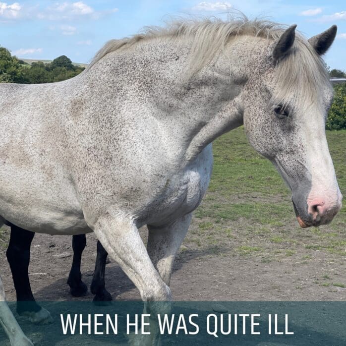 when he was quite ill